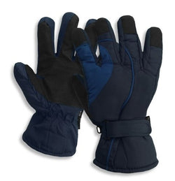 Thinsulate Gloves